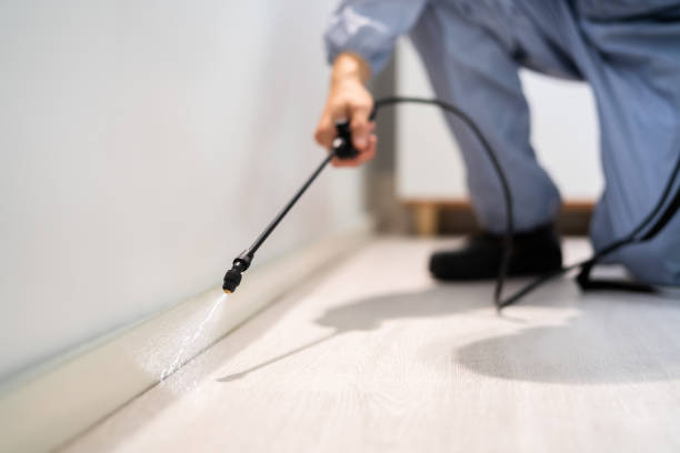 Licensed Pest Control service in Staunton, VA - Show Me Pest Control